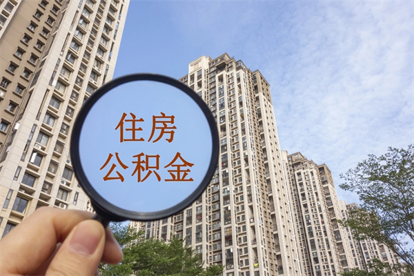 舞钢离职多久可以取住房公积金(离职多久后能取公积金) 舞钢离职多久可以取住房公积金(离职多久后能取公积金)